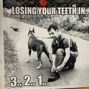 Meet your Posher, Ray